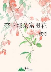 夺下那朵富贵花